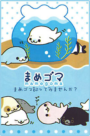 mamiページ Mamegoma Debut | San-X Wiki | Fandom