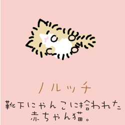Kutusita Nyanko | San-X Wiki | Fandom