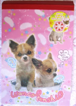 Wan Wan Wanco | San-X Wiki | Fandom