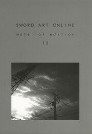Material Edition 13