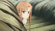 Asuna profuga