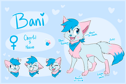 bani the cat