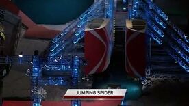 ANW4 Jumping Spider