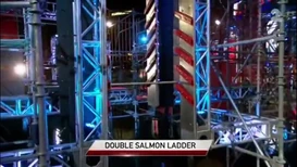 ANW5 Double Salmon Ladder