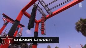 ANW2 Salmon Ladder