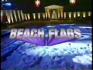 Beach Flags Fall 2000