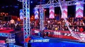 Nwfr1 ropeswingintocn