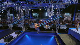 Tnwgr2 double tilt ladder