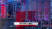 ANW6 Butterfly Wall