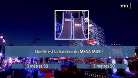 A question about the height of Mega Wall in 