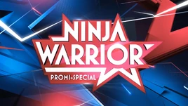 NWG Celebrity Special-Logo