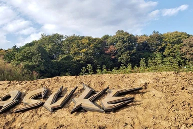 SASUKE 29 | Sasukepedia Wiki | Fandom