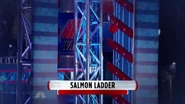 Salmon Ladder