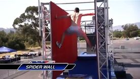 ANW1 Spider Wall