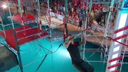 ANW10 Déjà Vu