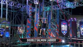 ANW14 Double Salmon Ladder