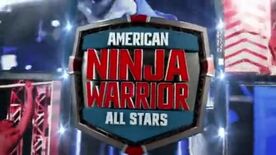 ANW All Stars Logo