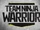 Team Ninja Warrior