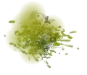Acid Blood.png