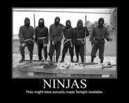 Motiv - ninjas twilight