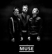 Muse-band
