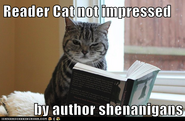 Reader Cat Not Impressed By Author Shenanigans