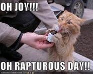 Joy oh rapturous day