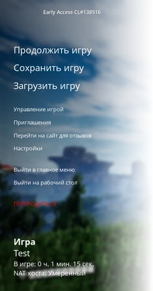 NAT хоста