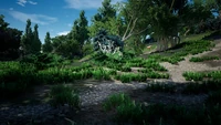 Snaketree Forest