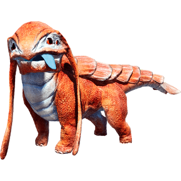 Dog sale like lizard