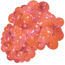 Paleberry