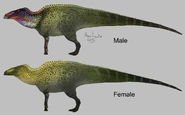 Internal draft of Saurian's "Anatosaurus" concept by Alex Lewko, Chris Masna, RJ Palmer and Jake Baardse