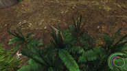 587450 screenshots 20180529095604 1.jpg (533 KB) Hatchling Dakotaraptor sensing the scent of a Chamops under the ferns (in bright blue)