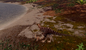 Saurian DevLog #125