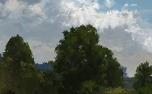 Concept art of hardwood forest canopy