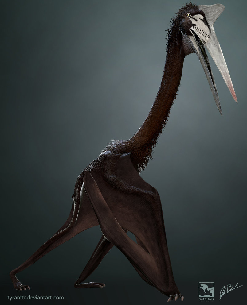 The evolution of depictions of Quetzalcoatlus, showing that the genus (and  azhdarchids in general) were pterosaurs that hunted on foot rather than  being aerial predators like most (though not all) predatory birds.