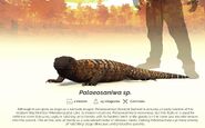 1098673778 preview Palaeo