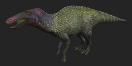 Adult Male (Current)