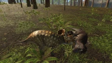 Adult male Triceratops with its head turned to face a Tyrannosaurus carcass.