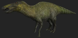 Adult Female (Current)