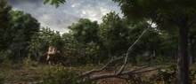 Concept art of the hardwood forest, with a lone male adult  and a lone male adult .