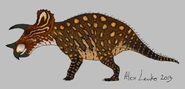 Final concept design of old Triceratops