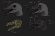 Cranial design sheet