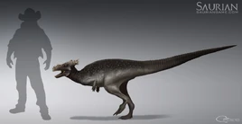 Juvenile P. spinifer