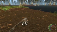 Hatchling Dakotaraptor looking at a basking Borealosuchus