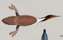 0f2c766c42cbec6622fc545e33543626bd1d087894e197759c9e733fcc901a19145f80cff5deafcd371f63c400079460e3ab6bd3c5e9227ca5ba340842ef7b0755207ef3d384bc0