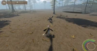Dakotaraptor engaging in courtship display