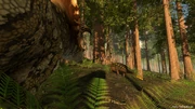 Ankylosaurus through a male Triceratops POV