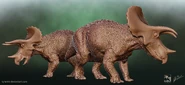 Triceratops subadult (left) and adult (right) sculpts by Jake Baardse