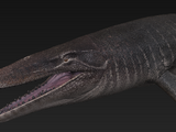 Mosasaurus